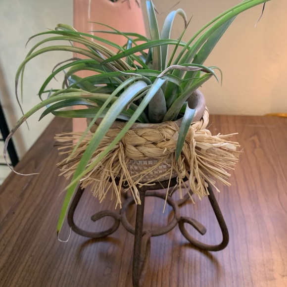 SOLD Plant Holder - Rustic Metal Frame & Clay Pot